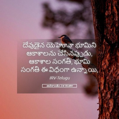 Picture 05 - ఆదికాండం 2:4 TELIRV - దేవుడైన యెహోవా - Bible Verse Picture