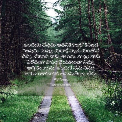 Picture 05 - ఆదికాండం 20:6 TELIRV - అందుకు దేవుడు - Bible Verse Picture