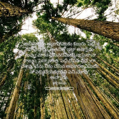 Picture 05 - ఆదికాండం 20:9 TELIRV - అబీమెలెకు - Bible Verse Picture