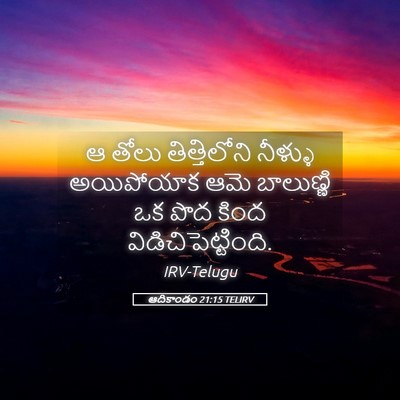 Picture 05 - ఆదికాండం 21:15 TELIRV - ఆ తోలు తిత్తిలోని - Bible Verse Picture