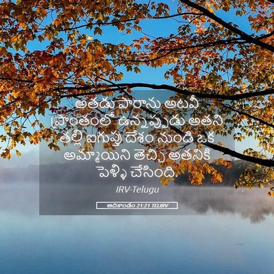Picture 05 - ఆదికాండం 21:21 TELIRV - అతడు పారాను అటవీ - Bible Verse Picture
