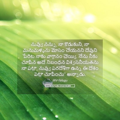 Picture 05 - ఆదికాండం 21:23 TELIRV - నువ్వు నన్ను, నా - Bible Verse Picture