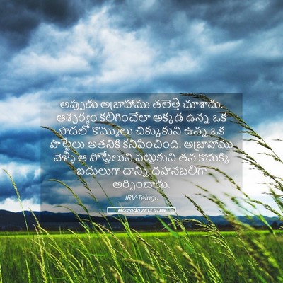 Picture 05 - ఆదికాండం 22:13 TELIRV - అప్పుడు అబ్రాహాము - Bible Verse Picture