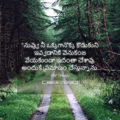 Picture 05 - ఆదికాండం 22:16 TELIRV - “నువ్వు నీ - Bible Verse Picture