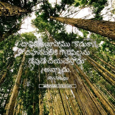 Picture 05 - ఆదికాండం 22:8 TELIRV - దానికి అబ్రాహాము - Bible Verse Picture