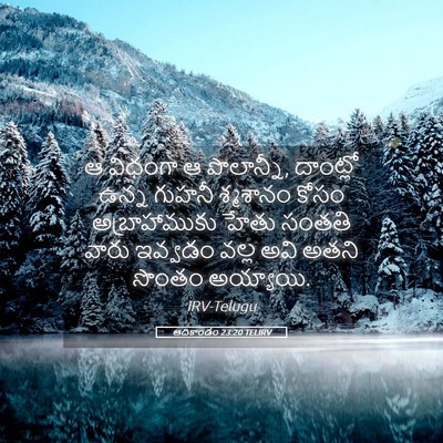 Picture 05 - ఆదికాండం 23:20 TELIRV - ఆ విధంగా ఆ - Bible Verse Picture