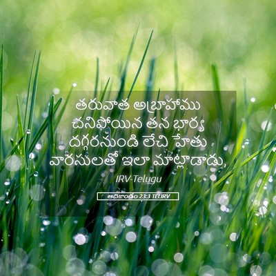 Picture 05 - ఆదికాండం 23:3 TELIRV - తరువాత అబ్రాహాము - Bible Verse Picture