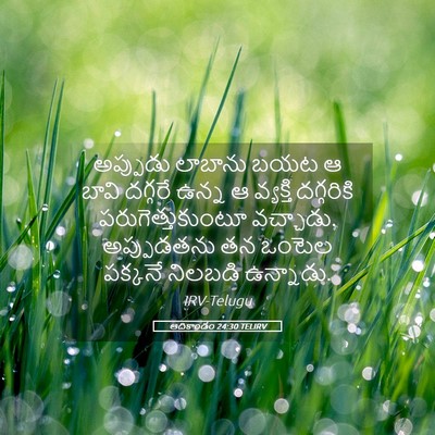 Picture 05 - ఆదికాండం 24:30 TELIRV - అప్పుడు లాబాను - Bible Verse Picture