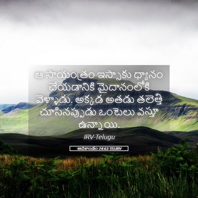 Picture 05 - ఆదికాండం 24:63 TELIRV - ఆ సాయంత్రం - Bible Verse Picture