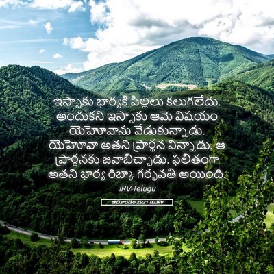 Picture 05 - ఆదికాండం 25:21 TELIRV - ఇస్సాకు భార్యకి - Bible Verse Picture