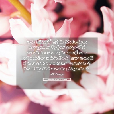 Picture 05 - ఆదికాండం 25:22 TELIRV - ఆమె గర్భంలో - Bible Verse Picture