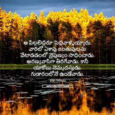 Picture 05 - ఆదికాండం 25:27 TELIRV - ఆ పిల్లలిద్దరూ - Bible Verse Picture