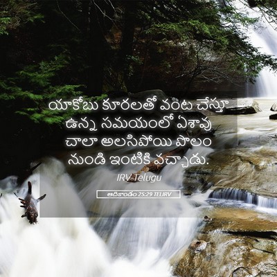 Picture 05 - ఆదికాండం 25:29 TELIRV - యాకోబు కూరలతో వంట - Bible Verse Picture