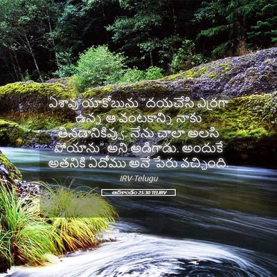 Picture 05 - ఆదికాండం 25:30 TELIRV - ఏశావు యాకోబును - Bible Verse Picture