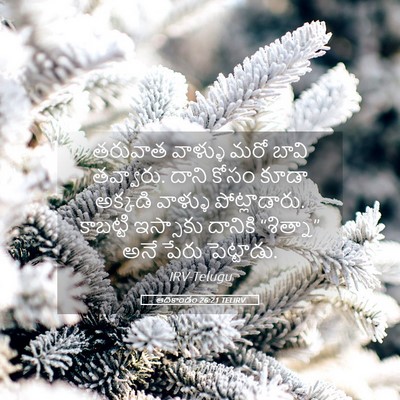 Picture 05 - ఆదికాండం 26:21 TELIRV - తరువాత వాళ్ళు మరో - Bible Verse Picture