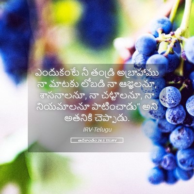 Picture 05 - ఆదికాండం 26:5 TELIRV - ఎందుకంటే నీ - Bible Verse Picture