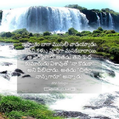 Picture 05 - ఆదికాండం 27:1 TELIRV - ఇస్సాకు బాగా - Bible Verse Picture