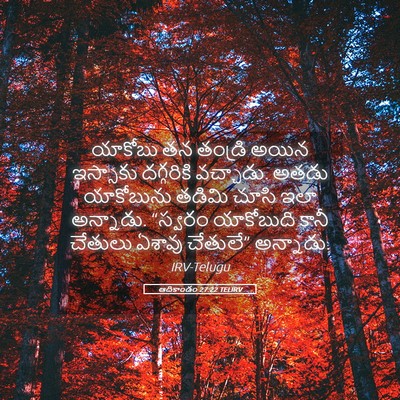 Picture 05 - ఆదికాండం 27:22 TELIRV - యాకోబు తన తండ్రి - Bible Verse Picture