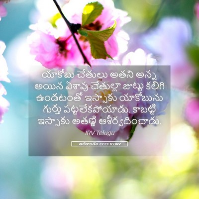Picture 05 - ఆదికాండం 27:23 TELIRV - యాకోబు చేతులు - Bible Verse Picture