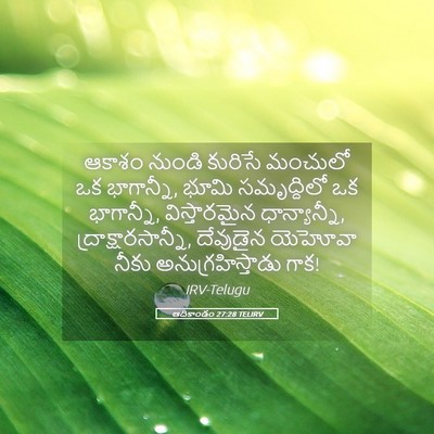 Picture 05 - ఆదికాండం 27:28 TELIRV - ఆకాశం నుండి - Bible Verse Picture
