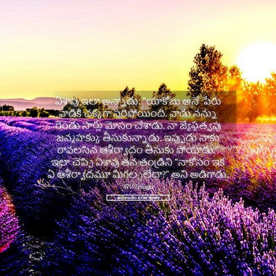 Picture 05 - ఆదికాండం 27:36 TELIRV - ఏశావు ఇలా అన్నాడు. - Bible Verse Picture