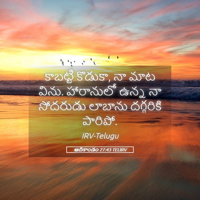 Picture 05 - ఆదికాండం 27:43 TELIRV - కాబట్టి కొడుకా, నా - Bible Verse Picture
