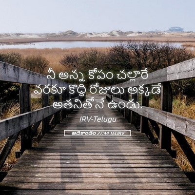 Picture 05 - ఆదికాండం 27:44 TELIRV - నీ అన్న కోపం - Bible Verse Picture