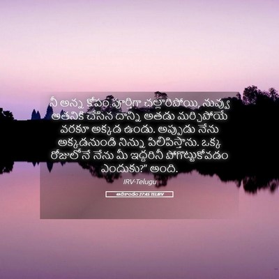 Picture 05 - ఆదికాండం 27:45 TELIRV - నీ అన్న కోపం - Bible Verse Picture
