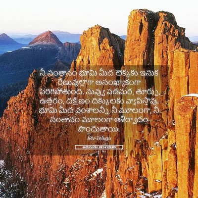 Picture 05 - ఆదికాండం 28:14 TELIRV - నీ సంతానం భూమి మీద - Bible Verse Picture