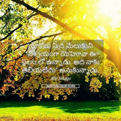 Picture 05 - ఆదికాండం 28:16 TELIRV - యాకోబు నిద్ర - Bible Verse Picture