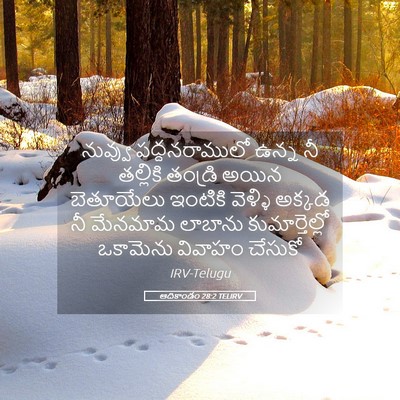 Picture 05 - ఆదికాండం 28:2 TELIRV - నువ్వు - Bible Verse Picture