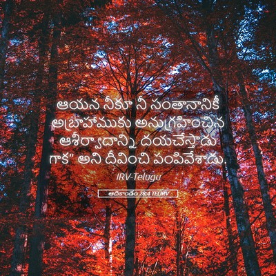 Picture 05 - ఆదికాండం 28:4 TELIRV - ఆయన నీకూ నీ - Bible Verse Picture