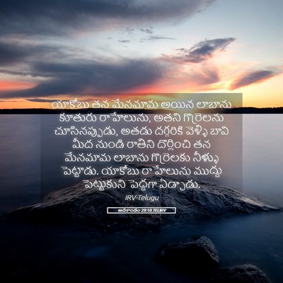 Picture 05 - ఆదికాండం 29:10 TELIRV - యాకోబు తన మేనమామ - Bible Verse Picture