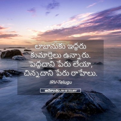 Picture 05 - ఆదికాండం 29:16 TELIRV - లాబానుకు ఇద్దరు - Bible Verse Picture