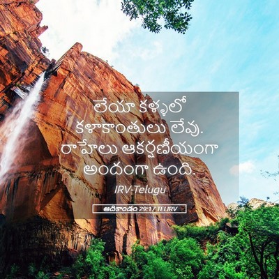 Picture 05 - ఆదికాండం 29:17 TELIRV - లేయా కళ్ళలో - Bible Verse Picture