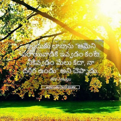 Picture 05 - ఆదికాండం 29:19 TELIRV - అందుకు లాబాను - Bible Verse Picture