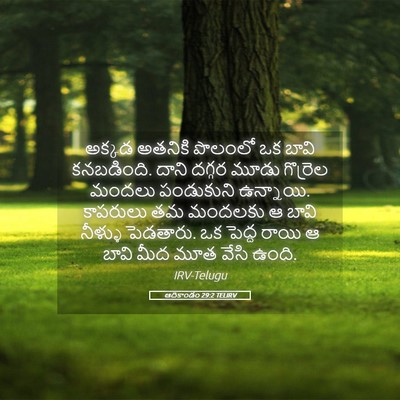 Picture 05 - ఆదికాండం 29:2 TELIRV - అక్కడ అతనికి - Bible Verse Picture