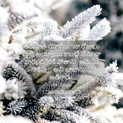 Picture 05 - ఆదికాండం 29:21 TELIRV - తరువాత యాకోబు “నా - Bible Verse Picture