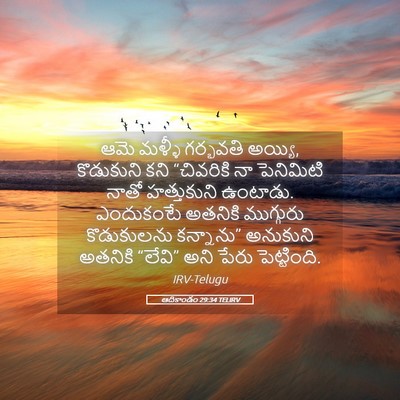 Picture 05 - ఆదికాండం 29:34 TELIRV - ఆమె మళ్ళీ గర్భవతి - Bible Verse Picture