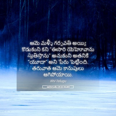 Picture 05 - ఆదికాండం 29:35 TELIRV - ఆమె మళ్ళీ గర్భవతి - Bible Verse Picture