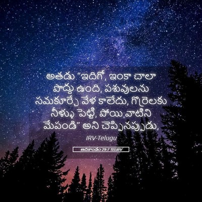 Picture 05 - ఆదికాండం 29:7 TELIRV - అతడు “ఇదిగో, ఇంకా - Bible Verse Picture