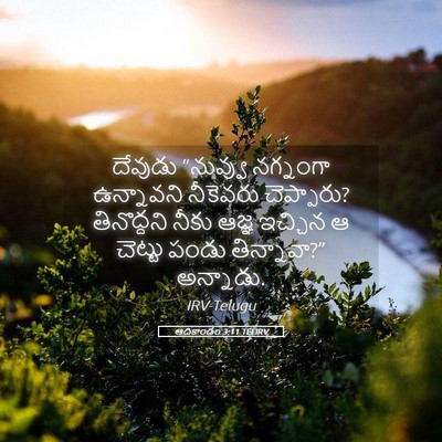 Picture 05 - ఆదికాండం 3:11 TELIRV - దేవుడు “నువ్వు - Bible Verse Picture