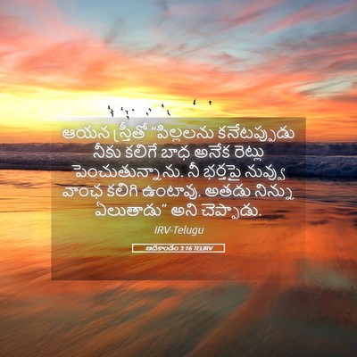 Picture 05 - ఆదికాండం 3:16 TELIRV - ఆయన స్త్రీతో - Bible Verse Picture