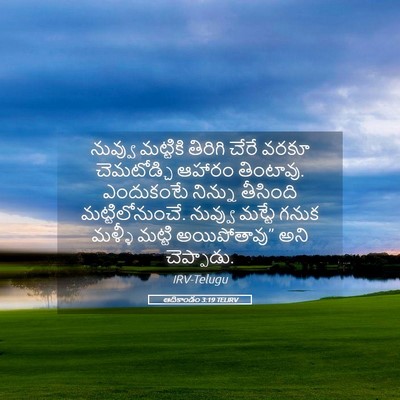 Picture 05 - ఆదికాండం 3:19 TELIRV - నువ్వు మట్టికి - Bible Verse Picture