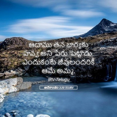 Picture 05 - ఆదికాండం 3:20 TELIRV - ఆదాము తన భార్యకు - Bible Verse Picture