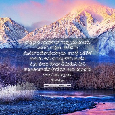 Picture 05 - ఆదికాండం 3:22 TELIRV - దేవుడైన యెహోవా - Bible Verse Picture