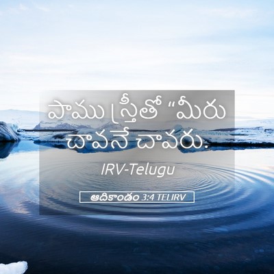 Picture 05 - ఆదికాండం 3:4 TELIRV - పాము స్త్రీతో - Bible Verse Picture