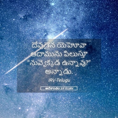 Picture 05 - ఆదికాండం 3:9 TELIRV - దేవుడైన యెహోవా - Bible Verse Picture