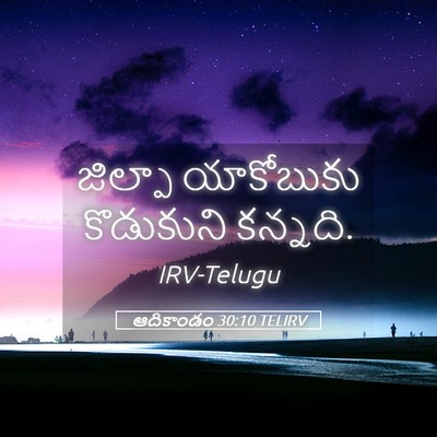 Picture 05 - ఆదికాండం 30:10 TELIRV - జిల్పా యాకోబుకు - Bible Verse Picture