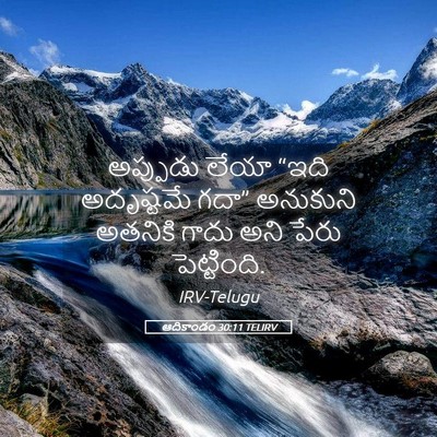 Picture 05 - ఆదికాండం 30:11 TELIRV - అప్పుడు లేయా “ఇది - Bible Verse Picture